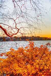 渣妈，我来给你送牢饭了男女主人公