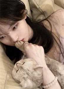 越吻越伤心高口碑