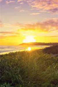 +唯见青山不是你：后续+畅读，免费一读到底全程无广大结局_林若水顾京墨：畅读无广+实时更新独家渠道高口碑