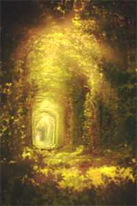 夏若星傅景聿全文阅读无弹窗结局_结局章节列表_笔趣阁全文