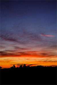 接到快递投诉后，我选择喜当妈林语齐钰全文阅读 长留章节阅读在线