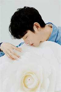 陈行之顾星月彩蛋全书+后续+结局在线阅读全集