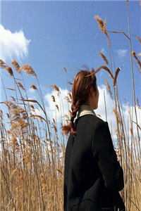 离婚后，我的前夫跪着求复合全局