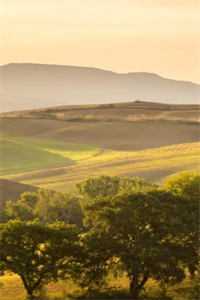 杀猪女竟是创世母神，整个神界火葬场了广告+结局