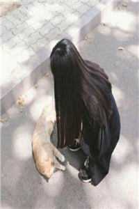 绝世医仙无错版