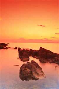 全网独家顾宴京棠黎：+结局+番外+后续完整章节已完结阅读_顾宴京棠黎最新章节列表_笔趣阁在线最新完整版免费阅读已完结小说