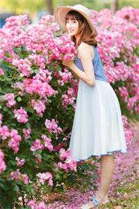 程栀栀韦清远免费全文免费阅读完结版阅读