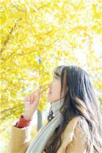 七零年代，我离开后首长老婆悔疯了许墨柳如烟全本免费在线阅读完结版免费阅读