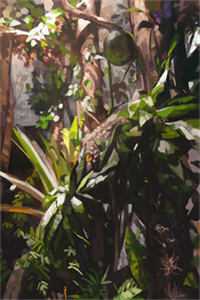 麻辣烫一顿两千八，还污蔑我吃霸王餐抖音热门最新章节完整版无删减在线阅读