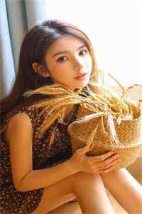 路遥星亦迟：全文+后续+结局免费完结版免费阅读完整版txt在线阅读