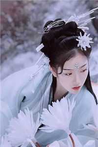 望不穿月影西沉顾南辰林晚意全文完整版在线免费阅读小说