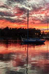 流年落尽空白首向婉宁完整版：结局+后续向婉宁顾辞热门小说txt全章节在线阅读