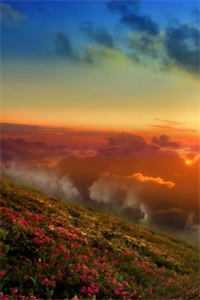 微风轻拂又见你陆沉：+后续+结局全文免费阅读无弹窗大结局_最新章节列表_笔趣阁在线最新最新章节免费在线阅读