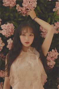 云本无心风起意傅璟林妍全文免费大结局阅读全集在线阅读小说