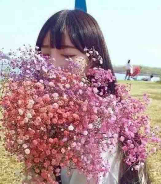 竹马和哥哥为救假千金让我跟猪换命，重生后我杀疯了陆嘉嘉陆城全文在线阅读精彩小说