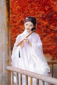 月隐云间爱成憾：结局+番外抖音新书免费全章节免费在线阅读