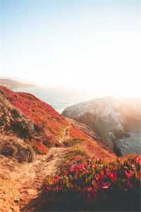 潇潇雨声迟沈聿风纪青语最新章节在线阅读有声小说