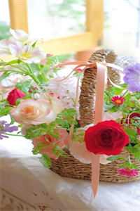 我把老公的私生子养成了高材生宋奇姜颖全文免费阅读完结版阅读