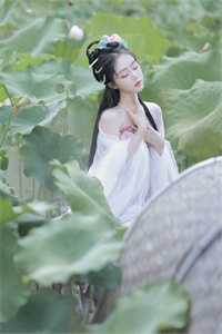 菩提本无心：全文+后续+结局免费全本在线免费阅读