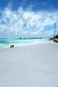 月光洒下离人巷短篇小说阅读谢诚景洛婉雪全章节笔趣阁小说在线阅读