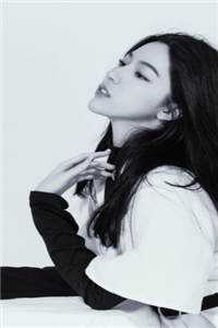 穿进红楼，我贾环精通朝堂争斗贾环王熙凤完结版全本小说在线阅读