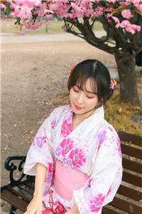 山鸟与鱼不同路谢辞苏沐禾全本免费在线阅读