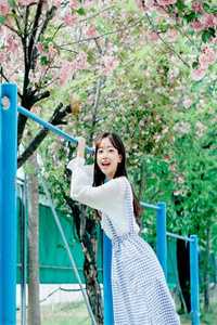 亲女儿被养女抢走传家宝后，我杀疯了秦梓芸秦娇娇完结版免费在线阅读