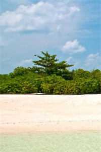 曾经校霸抢走我女友，用跑车撞我红旗国礼许流年苏轻语全集小说在线阅读完结版免费阅读