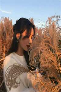 糟糕！小可怜被人诱拐回家啦苏知鸢封沉完结版免费在线阅读txt