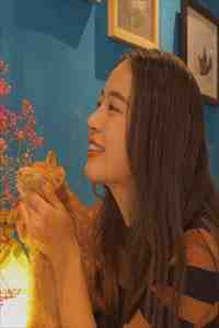 掠影浮光黄泉落宋云廷秦薇全章节阅读,全文免费在线阅读