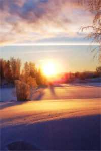 穿越兽世！稀有雌性被大佬们跪地求宠漠夏望初全章节免费在线阅读完结版免费阅读