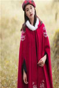 人在玄幻，开局被气运之子贴脸开大林枫凤倾仙全文免费阅读完结版阅读