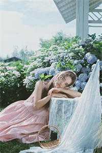 渐行渐远渐无书温夕凝沈语兮完整版小说免费阅读全文免费阅读_