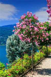 全本无意苦争春：+后续+结局最新章节列表_全本无意苦争春：+后续+结局全文阅读在线最新已完结小说最新章节免费在线阅读