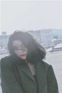 落花不折枝，你我不相见程岁安温叙言免费小说在线阅读最新章节