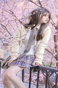 爱恨无边，喜字成云烟陆樱顾景之最新章节在线阅读全本在线阅读