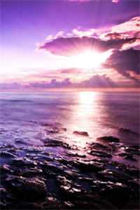 天降五百万后，全家给我办葬礼星星程一川全文免费阅读无弹窗大结局