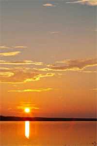 落花枯木念悠悠：结局+番外免费完结版全本小说在线阅读