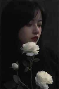 美貌杀人：大佬他又又又心动了周停贺祁全文阅读下载百度云免费小说