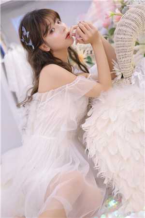 寂寞梧桐锁清秋免费全文免费大结局阅读全集在线阅读小说