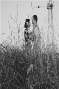 抛弃团长未婚夫后，我选择报效祖国傅越泽顾念之完整版免费在线阅读完结版免费阅读