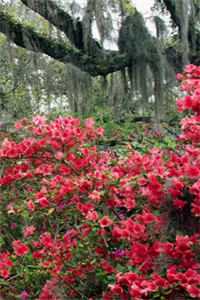 只消闲处过平生：+后续+番外,免费小说在线免费阅读无广告弹窗