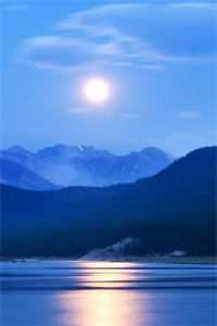 风雪夜被分手被霸总拐进温柔乡霍廷霄初晓小说后续免费小说全文免费阅读无弹窗大结局