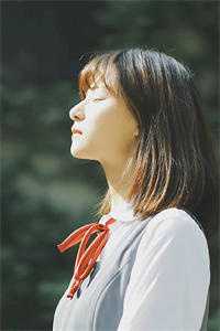 落花不折枝，你我不相见程岁安温叙言完结版免费在线阅读