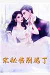 谁与你白头成眷陆沉舟沈意欢全文免费在线阅读完结版免费阅读