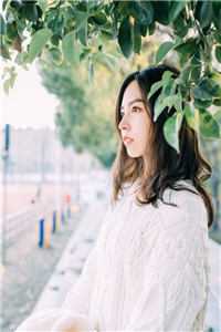 靳沉野不属于海的风：+后续+结局免费全章节阅读,全文免费在线阅读