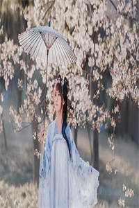 梨花落地泪阑干：+后续+结局精选作品之一最新章节列表_梨花落地泪阑干：+后续+结局精选作品之一全文阅读在线最新免费小说在线阅读全集听书