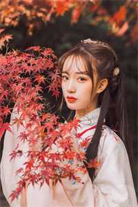 望断阳关雪沈棠顾长明最新章节免费阅读听书