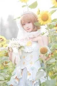 可叹惊鸿一瞥：+后续+结局苏采薇宁修远免费小说在线阅读最新章节