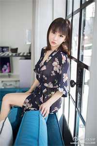 姻缘已断，前尘尽了齐珩陈婉完结版免费在线阅读